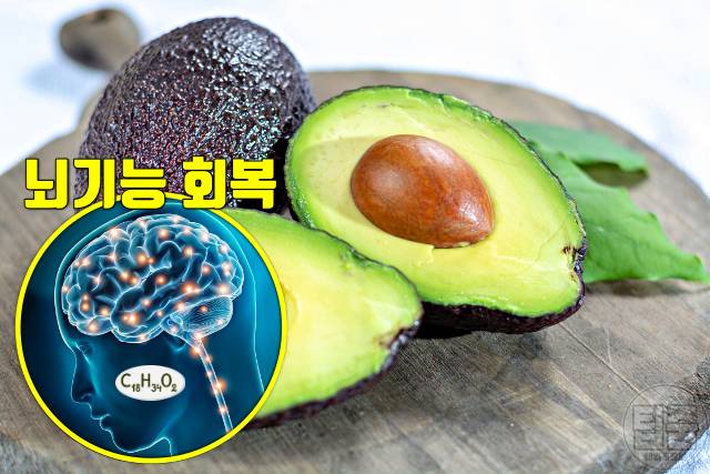뇌졸중 회복 음식 뇌기능 회복 기간 단계 뇌졸중음식 아보카도 올레산