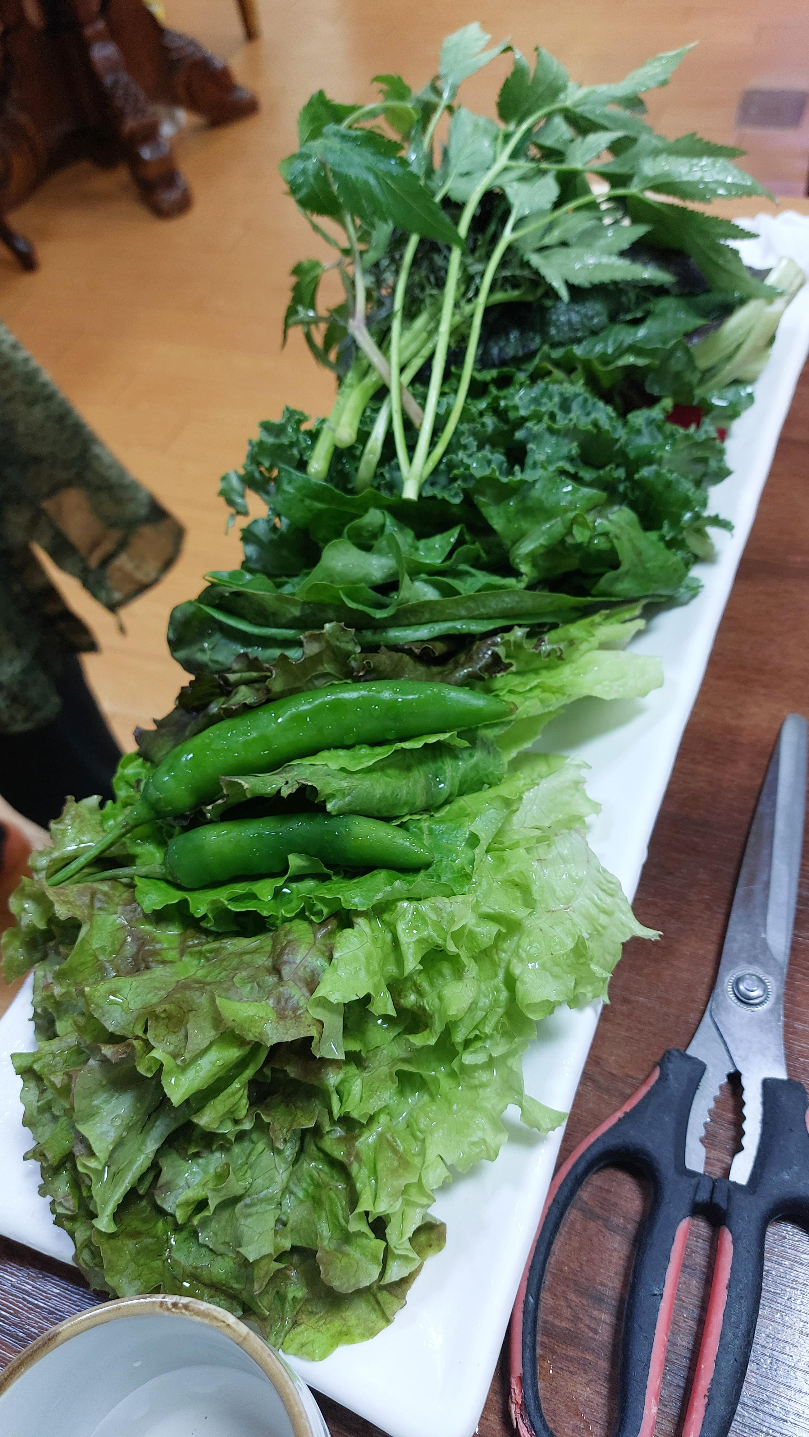 쌈밥집에서는 이렇게 쌈종류가 많아야 좋지!