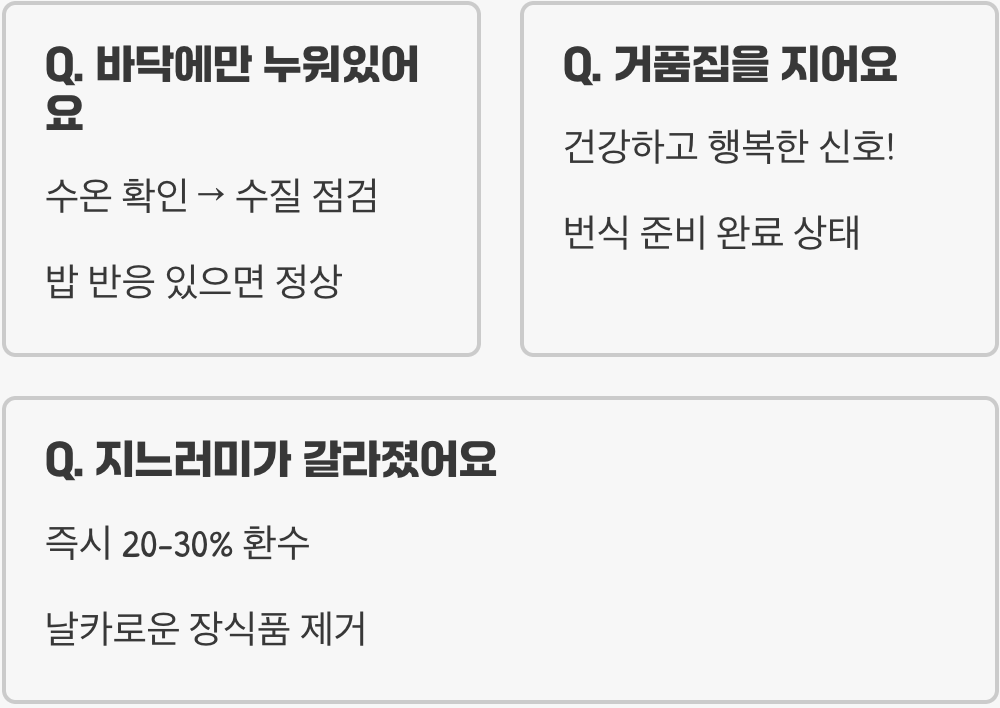 초보자가 하프문베타 키울 때 가장 많이 하는 실수 5가지