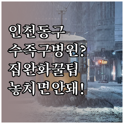 인천 동구 수족구 병원 위치와 집에서..