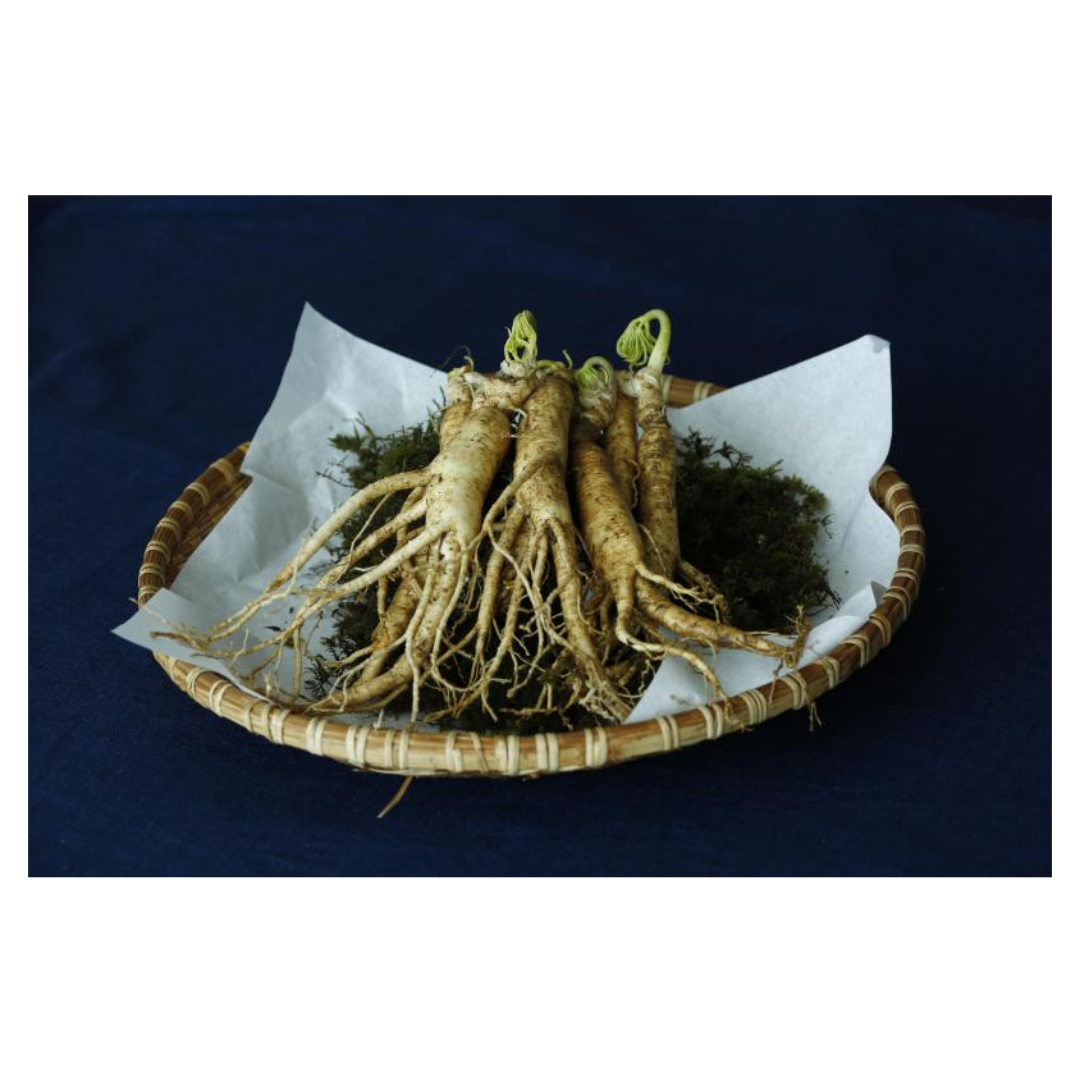 홍삼과 관련된 사진입니다.