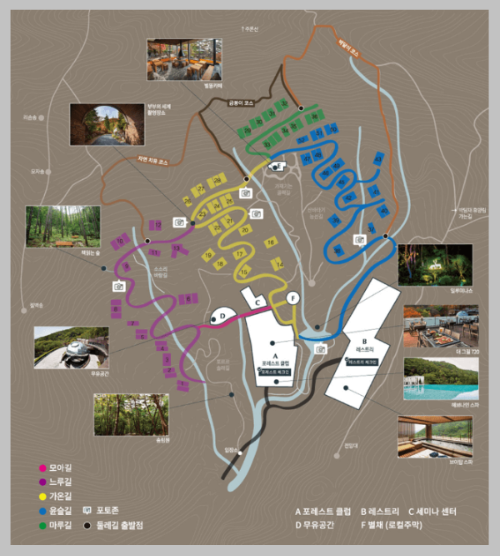 포레스트 리솜 빌라 동 지도