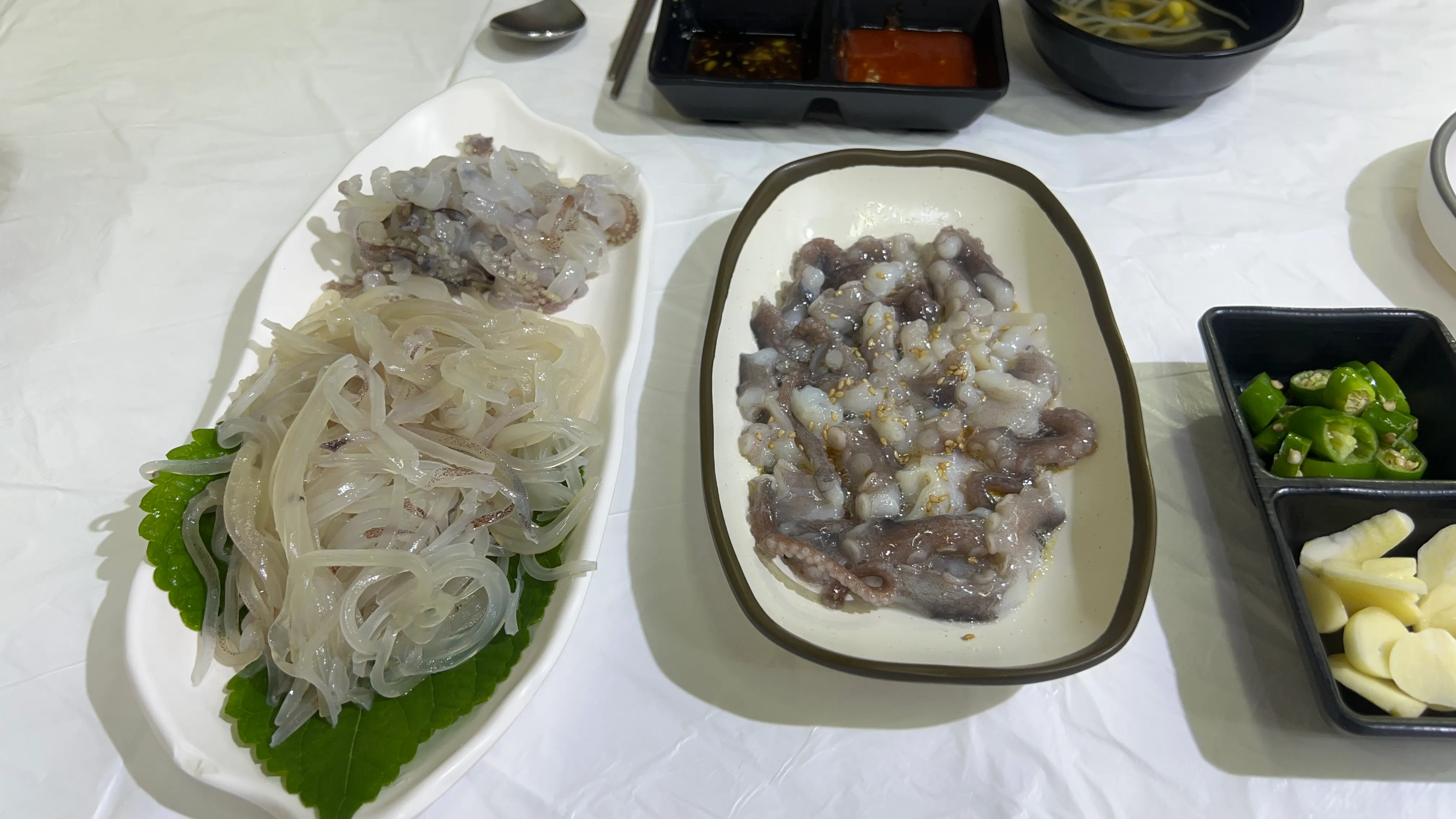 중앙시장 오징어회 가격