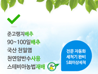 절임배추 20kg 가격 비교