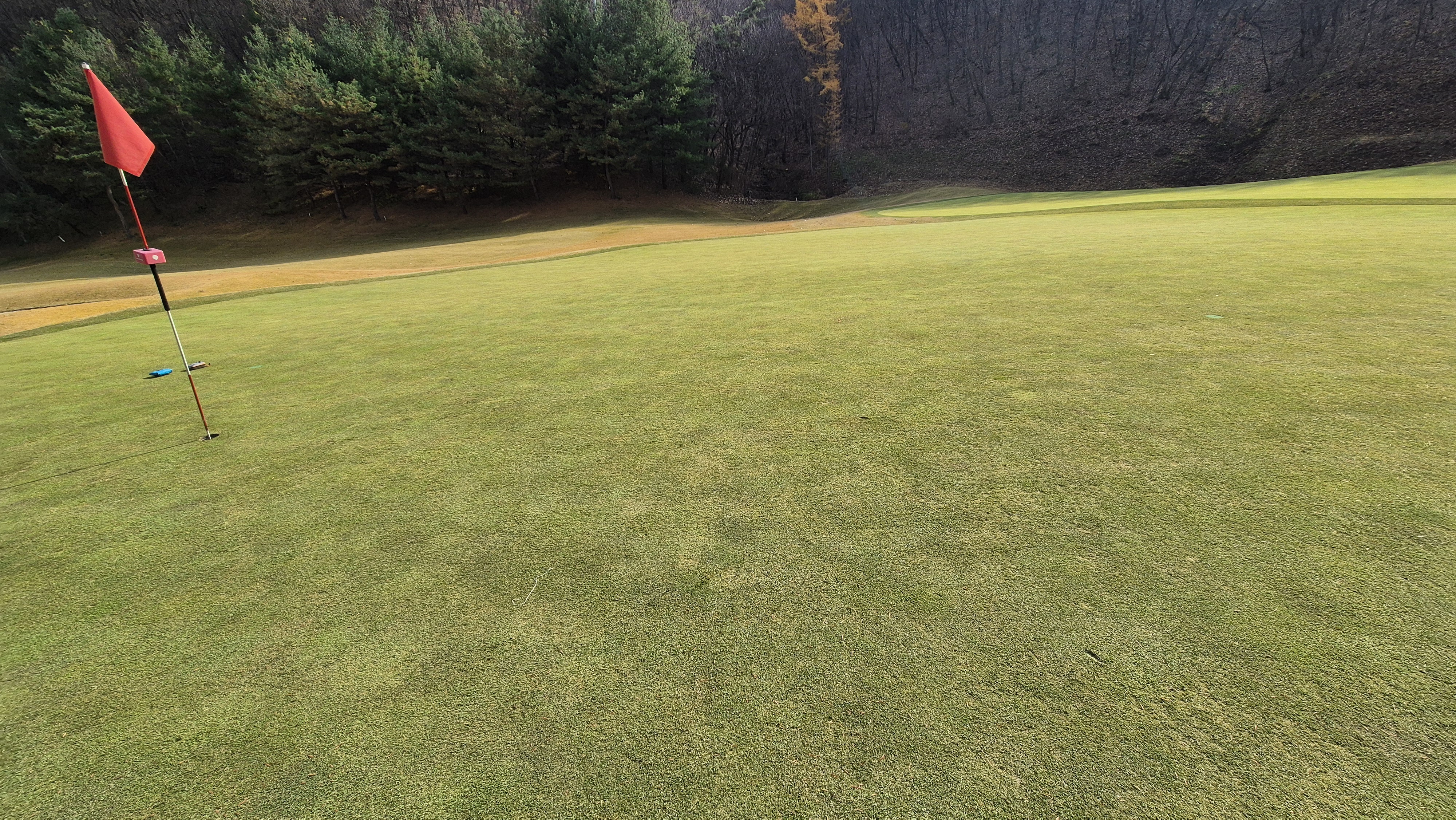 올데이 떼제베cc 가람-누리(서-남) 그린관리상태