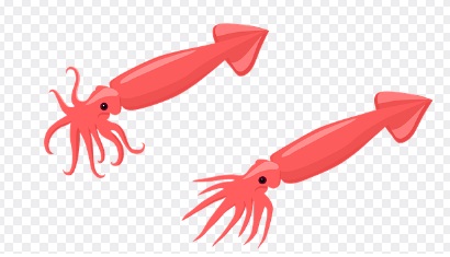 오징어 게임 시즌 2 : 개봉일 출연진 예고편 시청방법