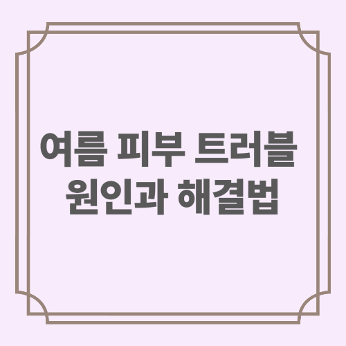 여름 피부 트러블 원인과 해결법