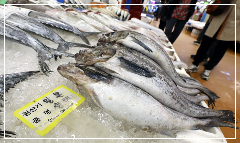 일본산 수산물 수입순위