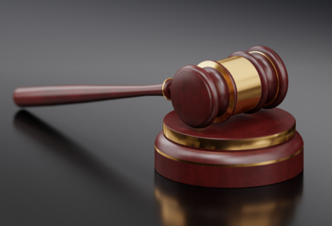 배구 심판의 역할 및 규정