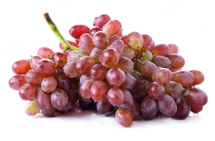 포도의 종류 - 크림슨포도 특징, 보관법