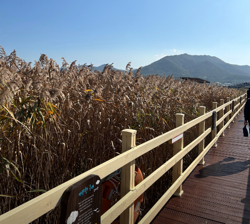 강진만생태공원