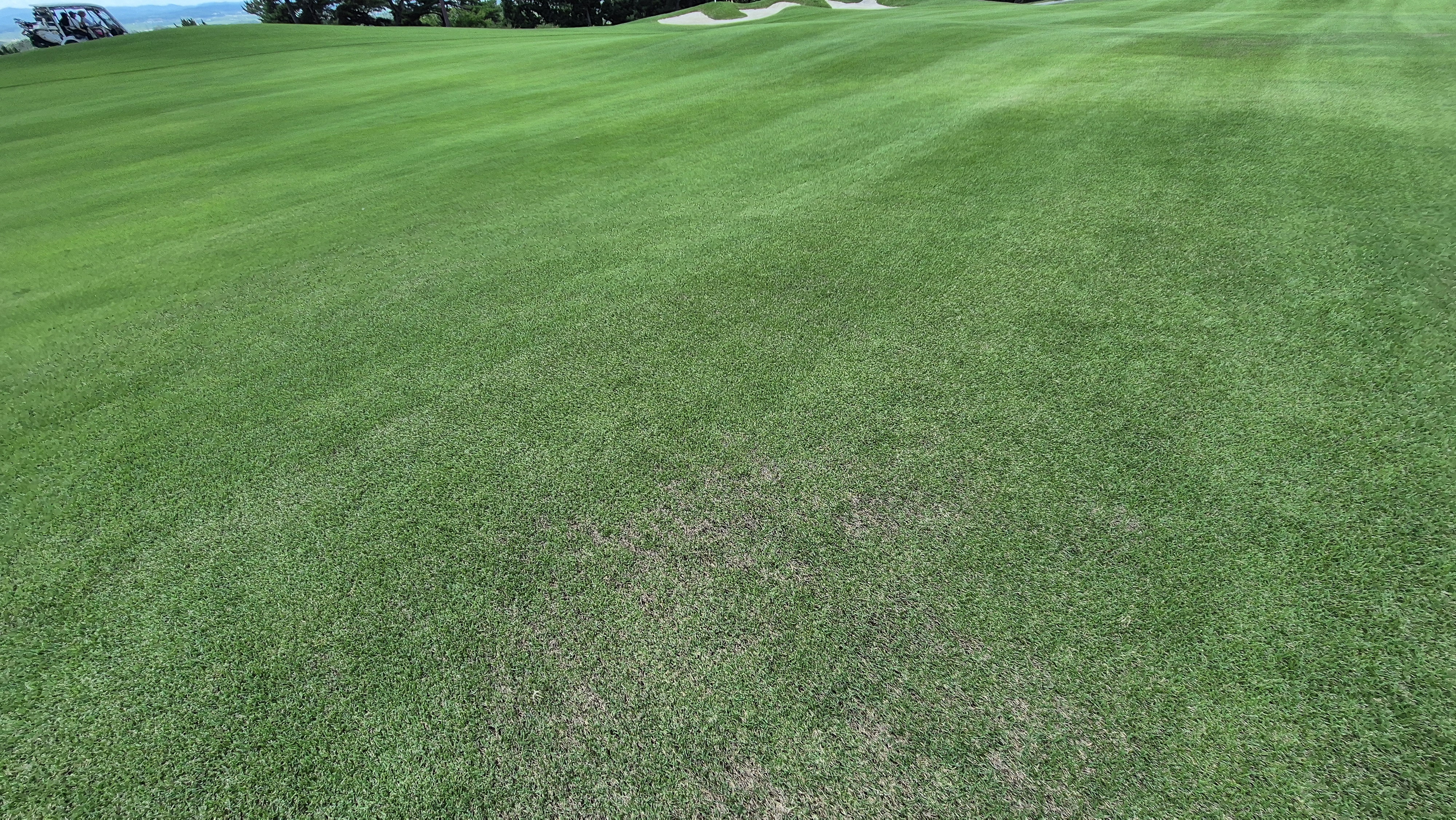 SG 아름다운cc 라운드 후기