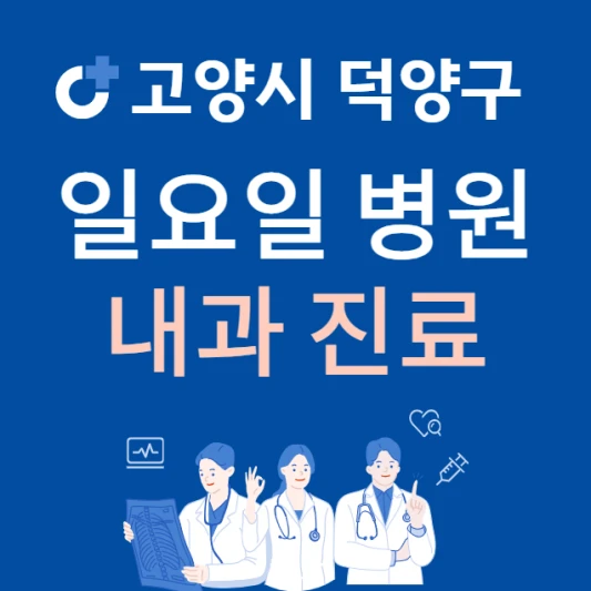 고양시-덕양구-일요일-내과-진료하는곳-주말에-문여는-고양시-24시간-내과-병원-찾기