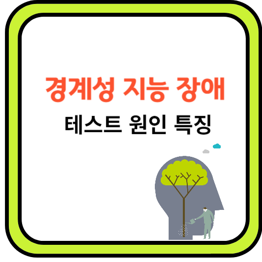 경계성지능장애