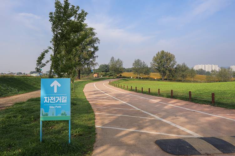 전동 자전거 길