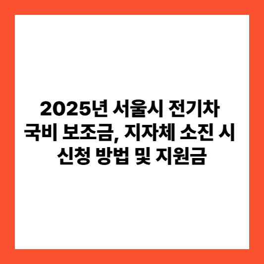 2025년 서울시 전기차 국비 보조금, 지자체 소진 시 신청 방법 및 지원금