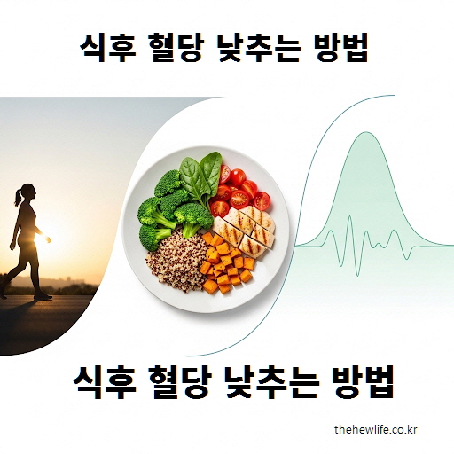 식후 혈당을 낮추는 방법 – 걷기와 균형 잡힌 식단, 혈당 곡선 이미지