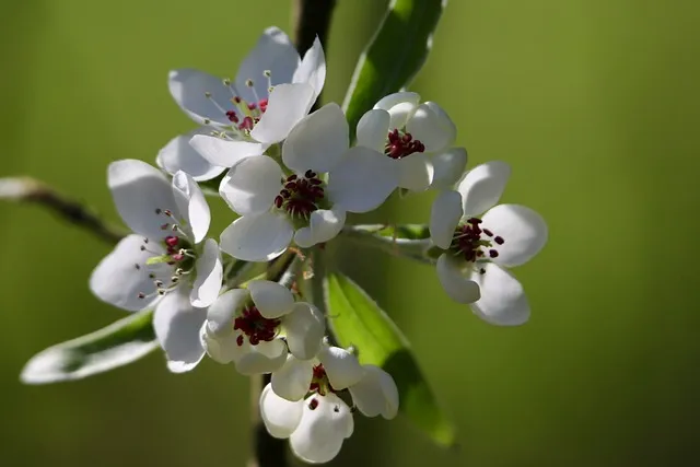 계절별 인사말 예시 모음 영어_4
