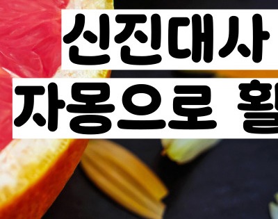 자몽 효능