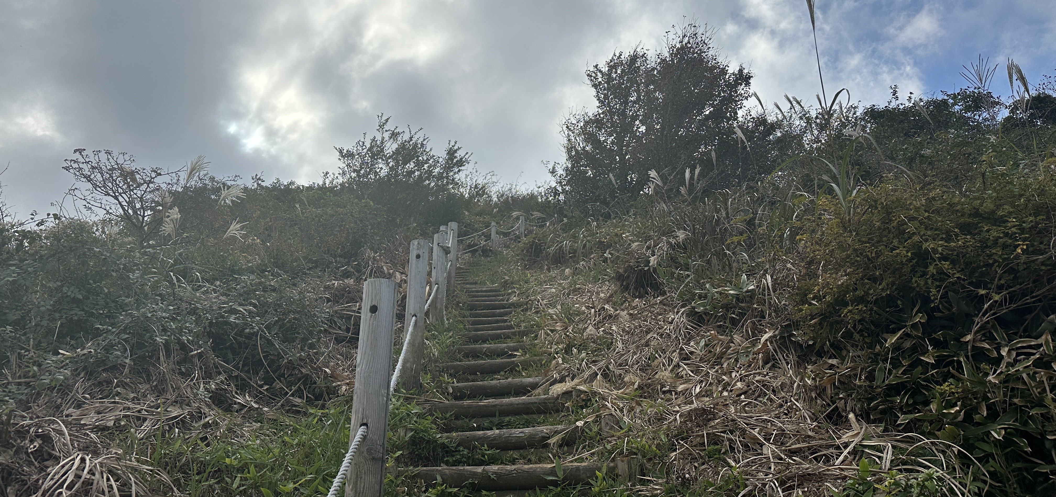 봉개동 민오름 산책로