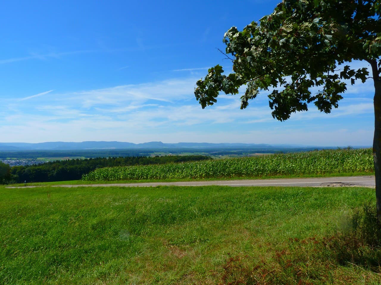 전통 건축이 줄 수 있는 도시 열섬 현상 완화 효과