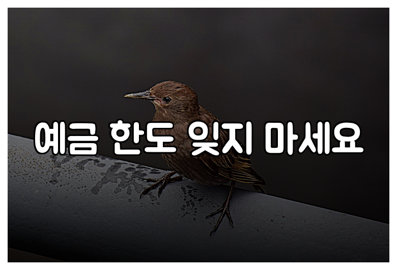 예금 한도 잊지 마세요