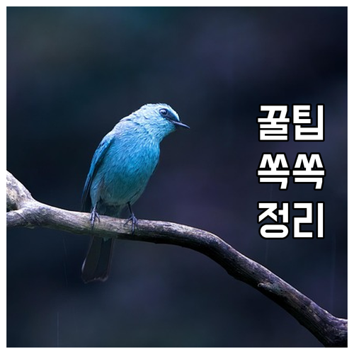 큰 가구 가전 버리기 전 필수 중구 ..