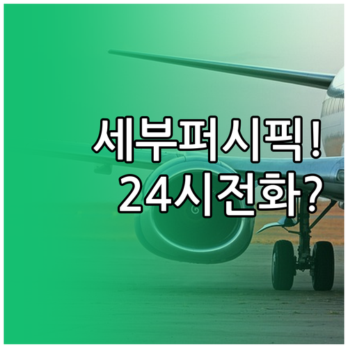 세부퍼시픽항공 24시간 채팅 상담과 ..