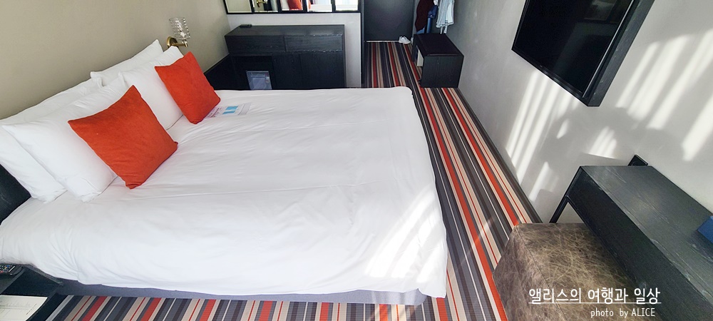  익스피디아 2022년 1월 호텔 할인코드 제주시 앨리스 앤 트렁크 호텔 추천 가성비 호텔