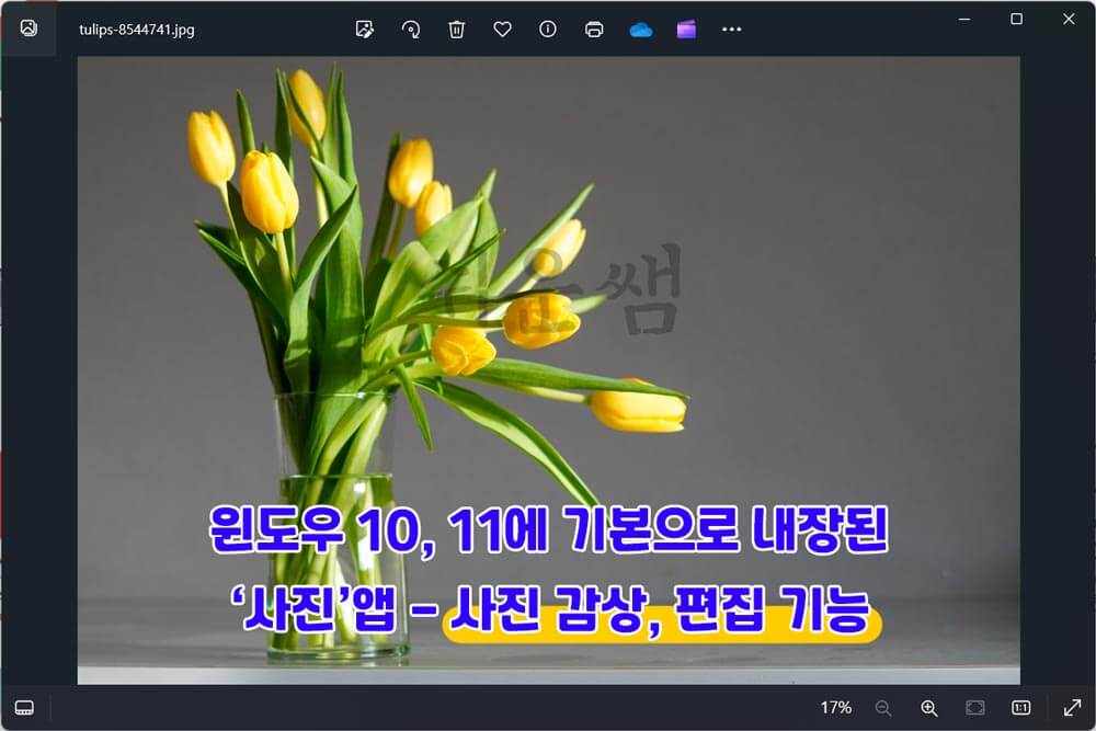 사진앱 화면 미리보기