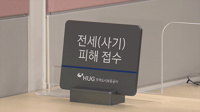 전세 사기 피해 누적