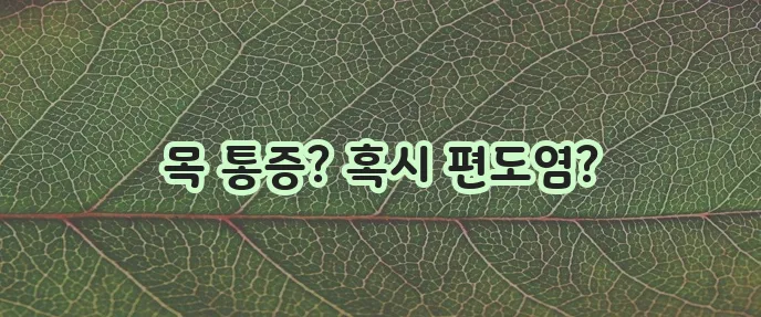 편도염 증상, 꼼꼼히 알아봐야 합니다!