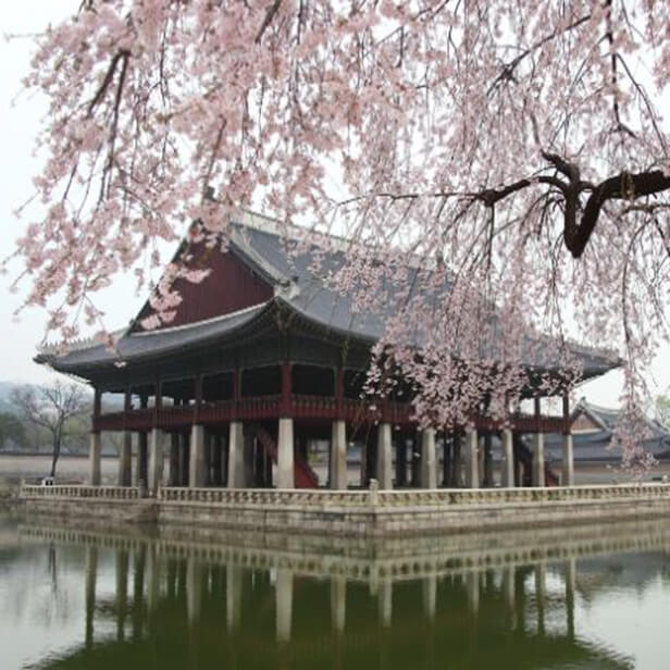 경복궁 야간개장