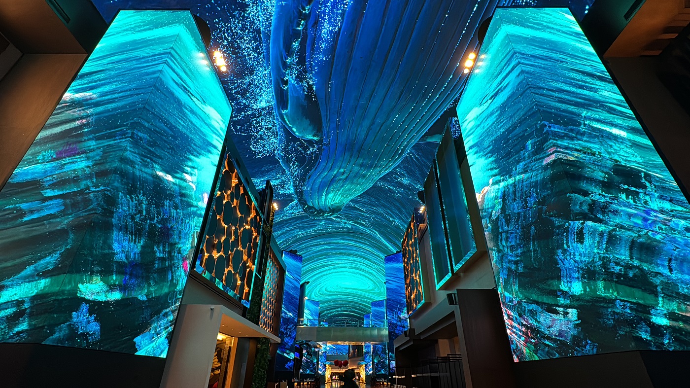 This is Aurora Gallery Description