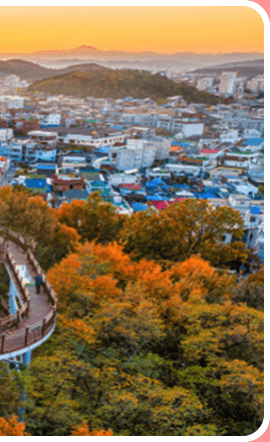 대구 앞산 해넘이 전망대