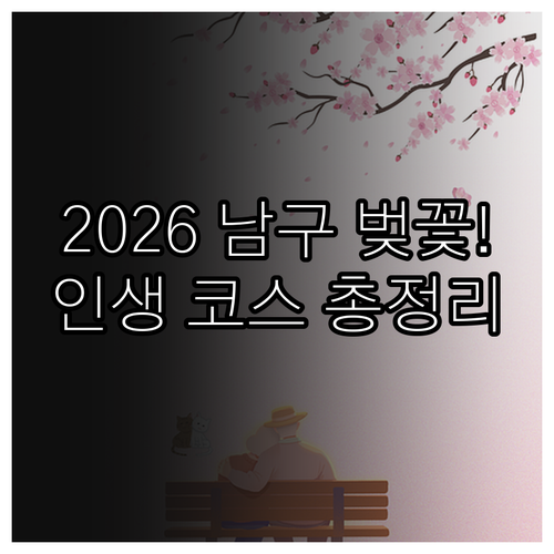 2026년 부산 남구 벚꽃 개화 시기..
