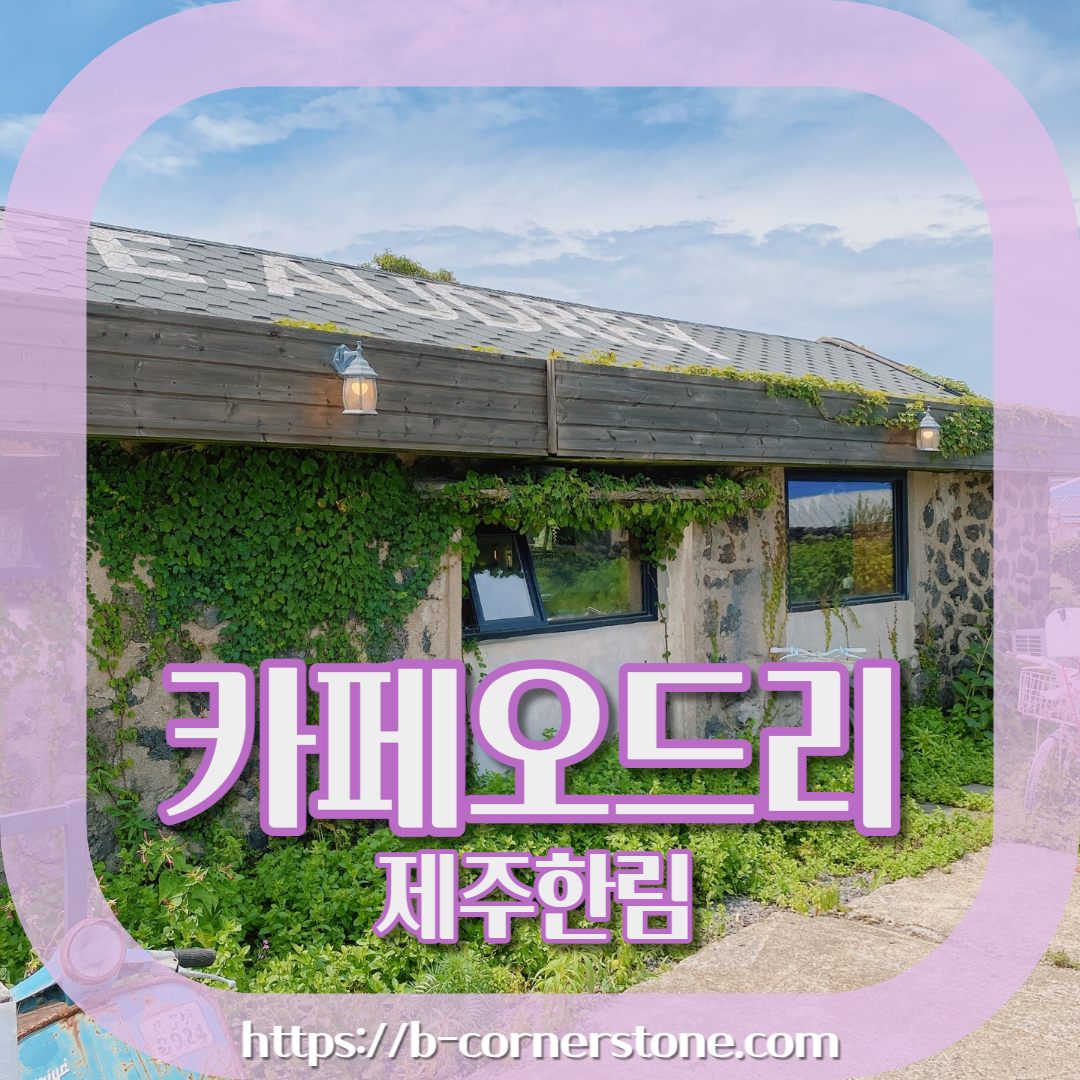 제주 금오름 오드리카페