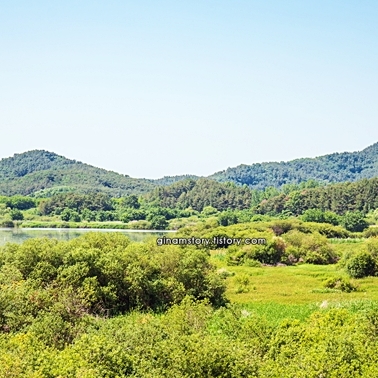 창녕 가볼만한곳 베스트10