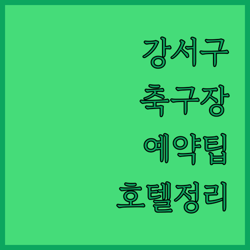 서울 강서구 영동체육공원 축구장 예약..