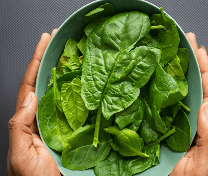 시금치 들고있는 사진
