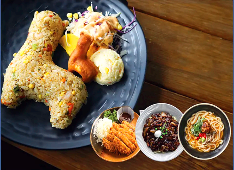 홍천 알파카 월드