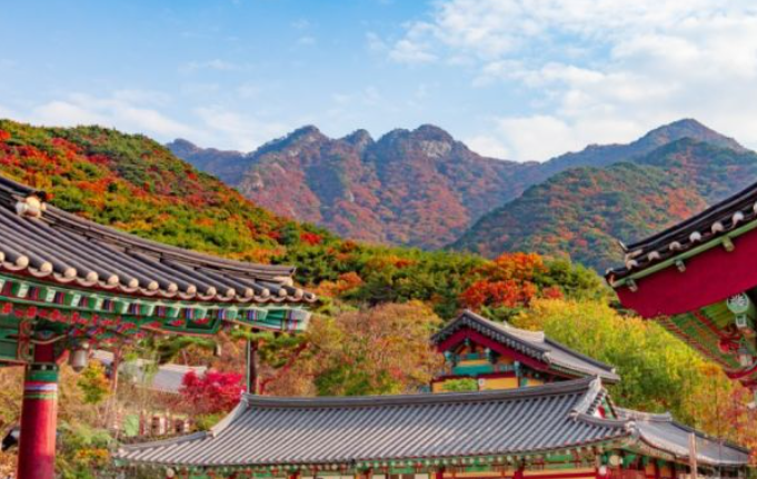2025 계룡산 단풍 절정 시기 &amp; 등산코스 추천 안내 ❘ 충남 가을 명소