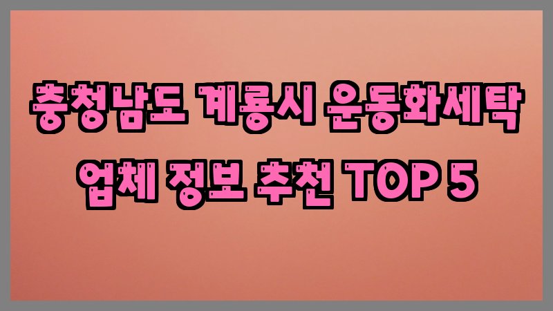 충청남도 계룡시 운동화세탁