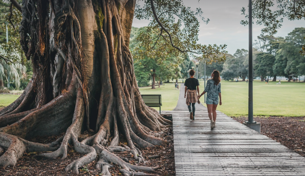 친환경 나무소재에 대한 이미지