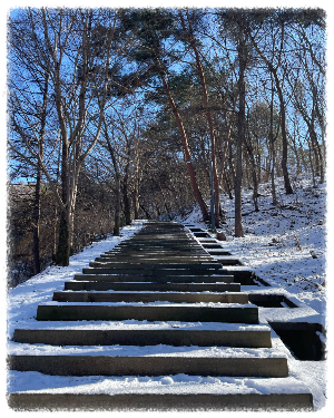 태조산