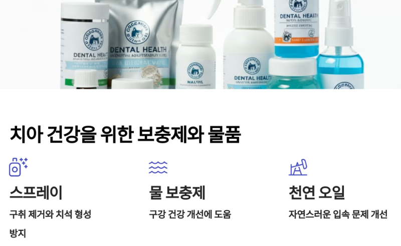 사료와 간식의 중요성