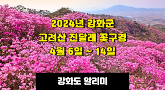 2024년 강화 고려산 진달래 꽃구경 안내