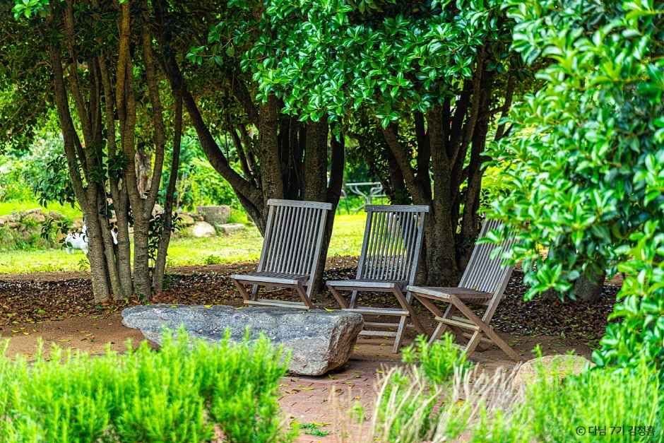 천개의 향나무숲