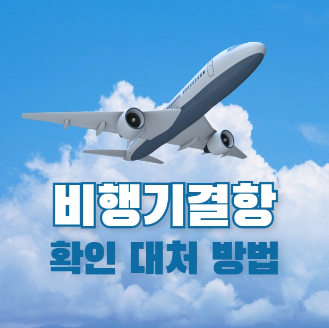 비행기 결항 확인 대처 방법