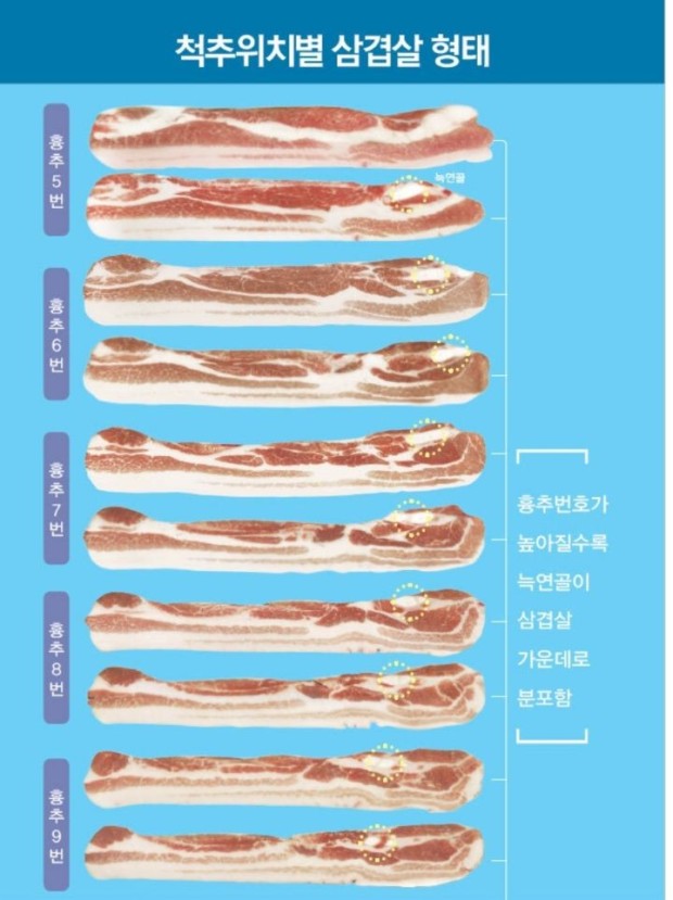 삼겹살 고르는법2